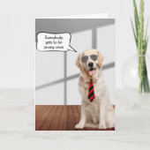 Golden Retriever Birthday Humor Kaart (Voorkant)