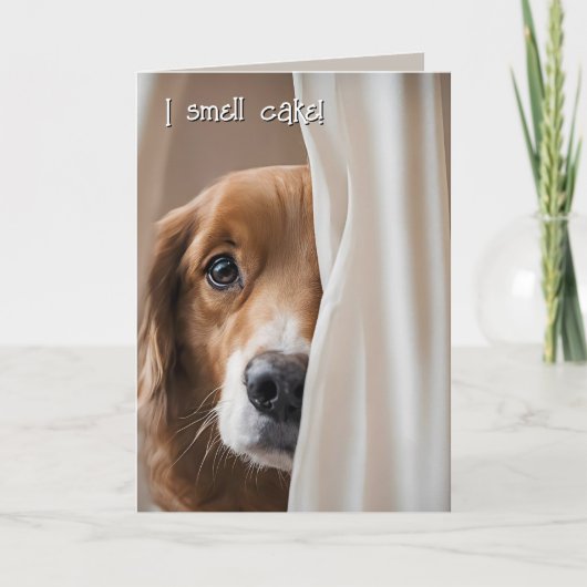 Golden Retriever Birthday Humor Kaart (Voorkant)