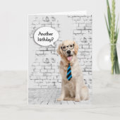 Golden Retriever Birthday Humor Kaart (Voorkant)