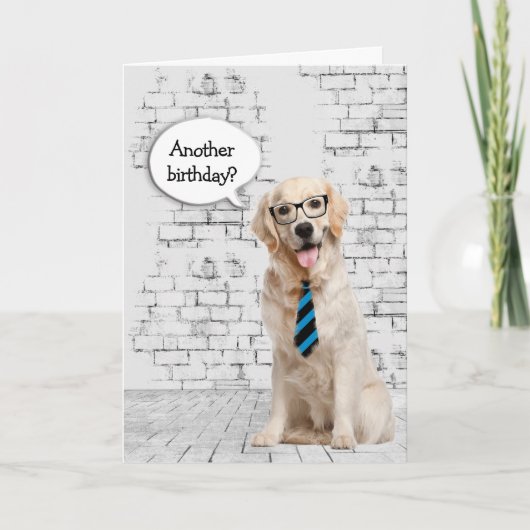Golden Retriever Birthday Humor Kaart (Voorkant)