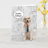 Golden Retriever Birthday Humor Kaart (Gele Bloem)