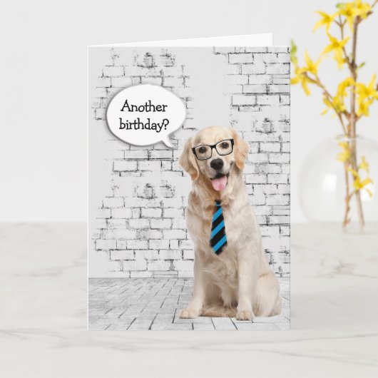 Golden Retriever Birthday Humor Kaart (Gele Bloem)
