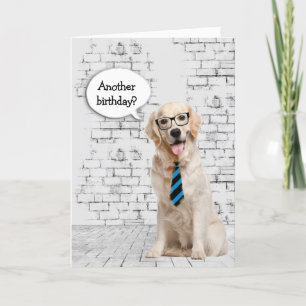Golden Retriever Birthday Humor Kaart