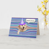 Golden Retriever Birthday humor Kaart (Gele Bloem)