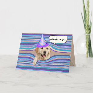 Golden Retriever Birthday humor Kaart