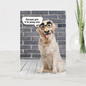 Golden Retriever Birthday Humor Kaart (Voorkant)