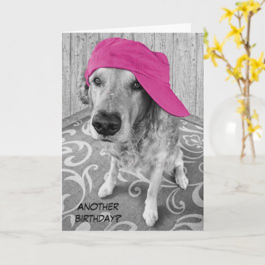 Golden Retriever Birthday Humor Kaart (Gele Bloem)