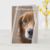 Golden Retriever Birthday Humor Kaart (Gele Bloem)