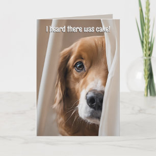Golden Retriever Birthday Humor Kaart
