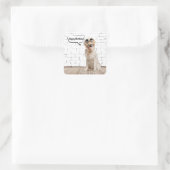 Golden Retriever Birthday Humor Vierkante Sticker (Tas)