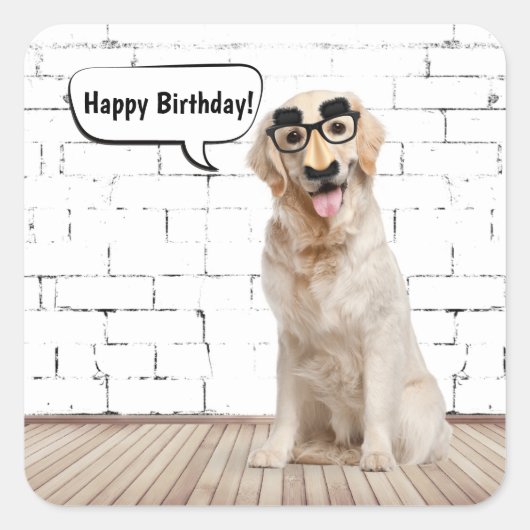Golden Retriever Birthday Humor Vierkante Sticker (Voorkant)