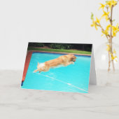 Golden Retriever Birthday Kaart (Gele Bloem)