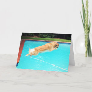 Golden Retriever Birthday Kaart