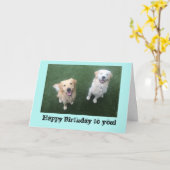 Golden Retriever Birthday-kaart Kaart (Gele Bloem)