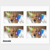 Golden Retriever Birthday Rechthoekige Sticker (Vel)