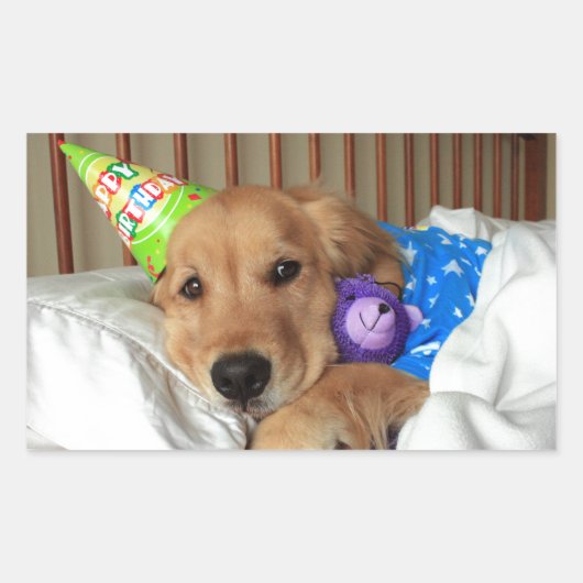 Golden Retriever Birthday Rechthoekige Sticker (Voorkant)