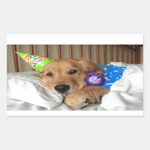 Golden Retriever Birthday Rechthoekige Sticker