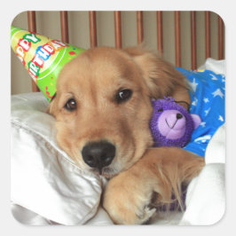 Golden Retriever Birthday Vierkante Sticker