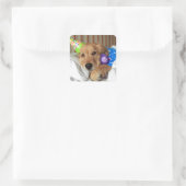 Golden Retriever Birthday Vierkante Sticker (Tas)