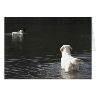 Golden Retriever Blank-fotokaart