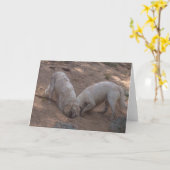Golden Retriever Blank Photo Card Kaart (Gele Bloem)