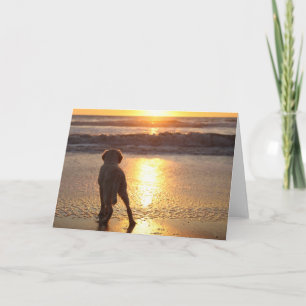 Golden Retriever Blank Photo Card Kaart