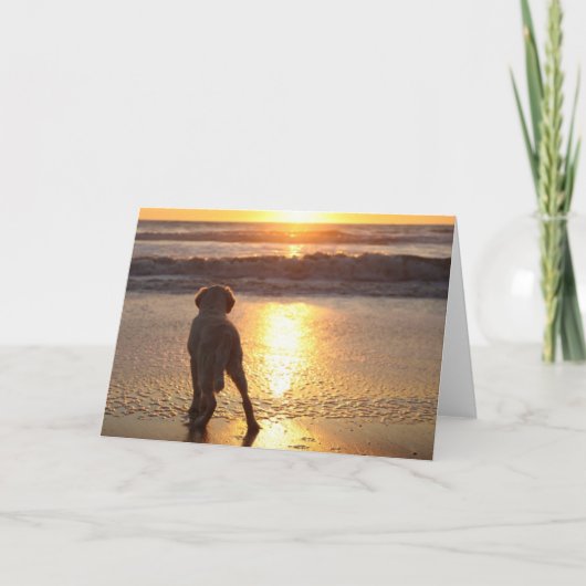 Golden Retriever Blank Photo Card Kaart (Voorkant)