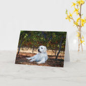 Golden Retriever Blank Wenskaart Kaart (Gele Bloem)
