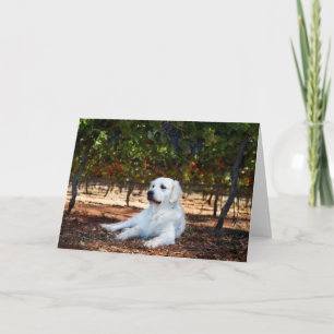 Golden Retriever Blank Wenskaart Kaart
