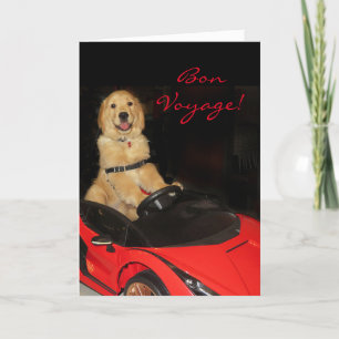 Golden Retriever Bon Voyage in auto Kaart