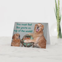 Golden retriever bovenop de Wereld Congrats