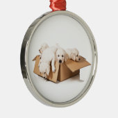 Golden Retriever Box of Fun Metalen Ornament (Rechts)