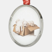 Golden Retriever Box of Fun Metalen Ornament (Links)