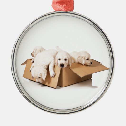 Golden Retriever Box of Fun Metalen Ornament (Voorkant)