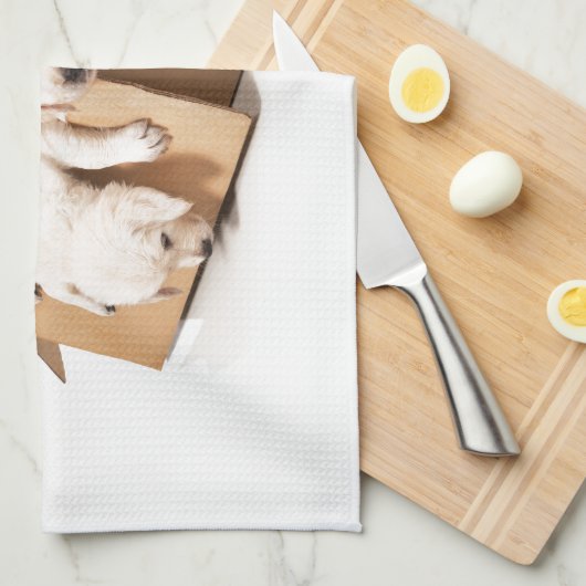 Golden Retriever Box of Fun Theedoek (Quarter Fold)