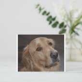 Golden Retriever Briefkaart (Staand voorkant)
