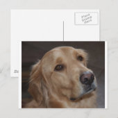 Golden Retriever Briefkaart (Voorkant / Achterkant)