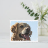 Golden Retriever Briefkaart (Staand voorkant)