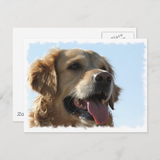 Golden Retriever Briefkaart (Voorkant / Achterkant)