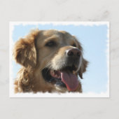 Golden Retriever Briefkaart (Voorkant)