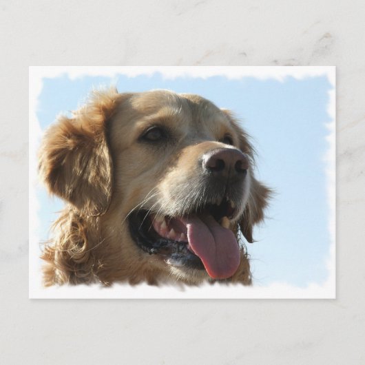 Golden Retriever Briefkaart (Voorkant)
