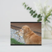 Golden Retriever Briefkaart (Staand voorkant)