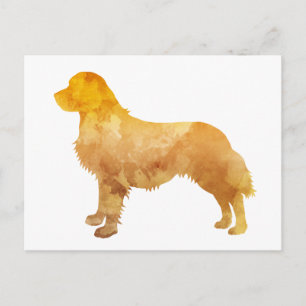 Golden Retriever Briefkaart