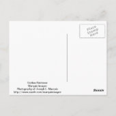 Golden Retriever Briefkaart (Achterkant)