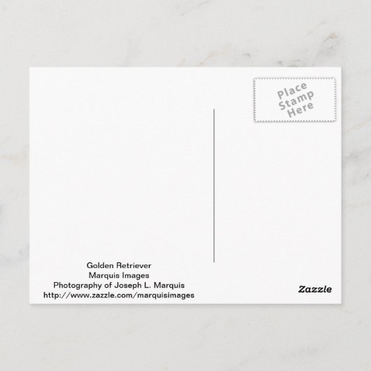 Golden Retriever Briefkaart (Achterkant)