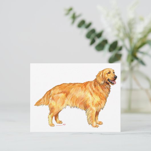 Golden Retriever Briefkaart (Staand voorkant)