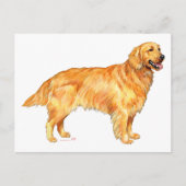 Golden Retriever Briefkaart (Voorkant)