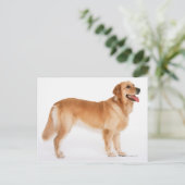 Golden Retriever Briefkaart (Staand voorkant)