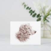 Golden Retriever Briefkaart (Staand voorkant)