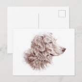 Golden Retriever Briefkaart (Voorkant / Achterkant)